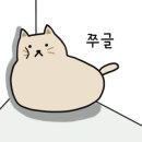 부산예한방병원 이미지