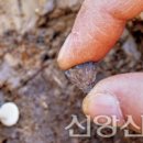 (주)대영통신 이미지