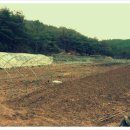 꽃내음하우스 이미지