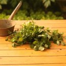 약초이야기 이미지