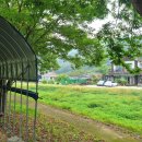 아리솔펜션 이미지