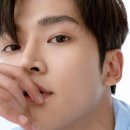로운 일간스포츠