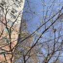 서울특별시교육청도봉도서관(어린이자료실) | 서울특별시교육청양천도서관 직접가본 후기. 회원증 발급부터 책 대출, 책누리실 이용까지