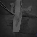 채플린동물병원 이미지