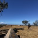 만조건설 | 호주 일상 + 178 너무 예쁜 예푼 Yeppoon, Great Keppler Island 5월