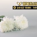 영주장례식장 | 영주장례식장, 후불제상조 고민중이라면