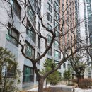 김유미공인중개사사무소 이미지