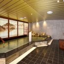 도미인 서울 강남 사우나 이미지