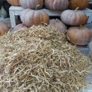 고은햇살 이미지