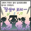 장충체육관 B Daum카페