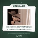 테르미 에스테틱 여의도점 네이버블로그