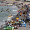 전촌솔밭해수욕장 이미지