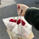 아름아뜰리에 | 웨딩촬영 후기 (더화이트엘리자베스 / 정남 / 아뜰리에포유 / 아름보다)