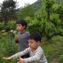 차성규농장 Daum카페