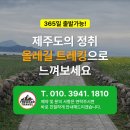 시흥초등학교 | 제주 올레길 후기 │ 햇살 눈부신 날, 올레지기님들과 함께 물든 올레길