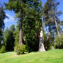 캐나다 밴쿠버 스탠리 파크(Stanley Park) 이미지