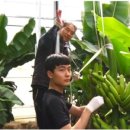 삼부자농장 이미지