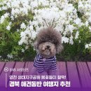 경북애견 이미지