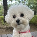 차암동물병원 이미지