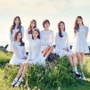 다이아 - 부천시 원미구 부흥로307번길 40 | 다이아