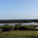 일출봉식당 이미지