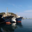 영덕 물가자미 전문점 이미지