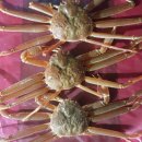 수진수산 이미지