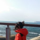 아낙네오리농장 | 제주도 3박4일 가족여행 둘째날 [천지연폭포/새연교/제주민속촌/한성식당]
