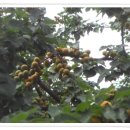 태헌농장 이미지