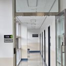 뭉뭉이네 | 전남대학교 동물 병원 노견 건강검진 내돈내산 솔직 후기 가격 정보