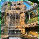 1월4(일)~6/신년포항여행-내연산12폭포길&amp;호미반도둘레길+@최고의 온천[2박/리무진] 이미지