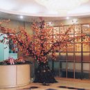 오성프라자 이미지