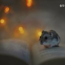 이룸고시텔 - 북구 서방로31번길 10-3 | 이룸고시텔