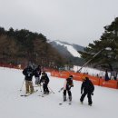 웰리힐리파크 이미지