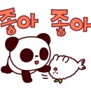 드림홀덤