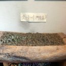 윤동균한방쑥면본점 이미지