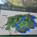 코스오토 이미지