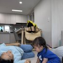 수박&토마토 축제 | 6월 일상☀ 여름을 맞이하는 방법, 공동육아, 문화센터 여름학기 w/45&amp;15개월 아기