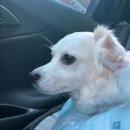 리오동물병원 이미지