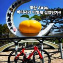 부산 300k 뒤늦은 후기