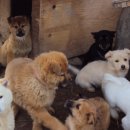 천관농장 이미지