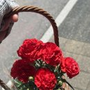 이디야금산 | 202605. 오르막과 내리막은 이어져있어.