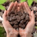 화산광고 이미지