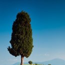 연필드로잉 이미지