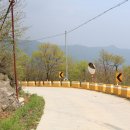 왕소나무집 이미지