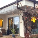 레몬비 병무청점 | 카페_풍경 좋은 수원카페 추천 N 번째 내돈내산 카페[크로이츠]