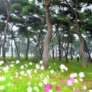 원정리경로당 네이버블로그