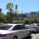 본도시락 중앙대점 이미지