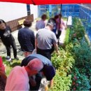 수정구보건소 치매안심센터 이미지