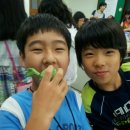 범물초등학교 | 범물초등학교에서의 주물럭비누 만들기